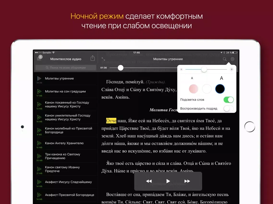 Аудиомолитвослов iPad 应用截图
