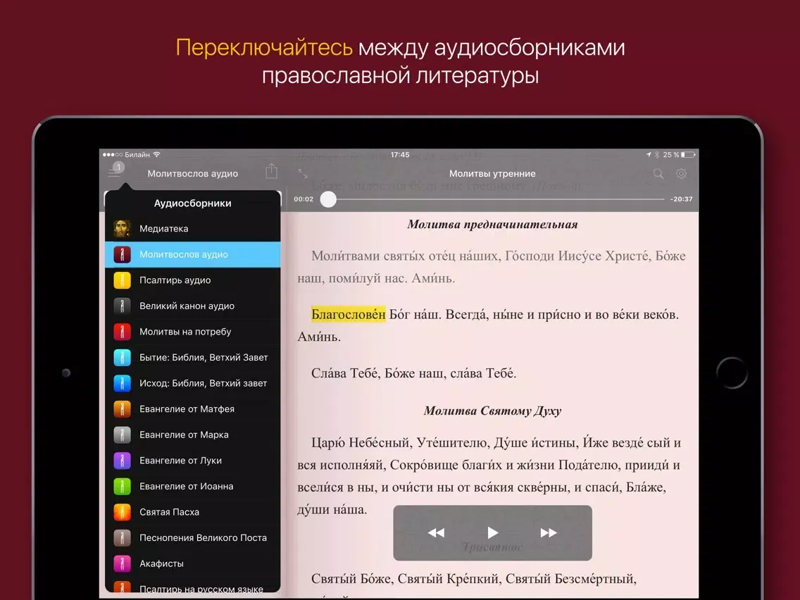 Аудиомолитвослов iPad 应用截图