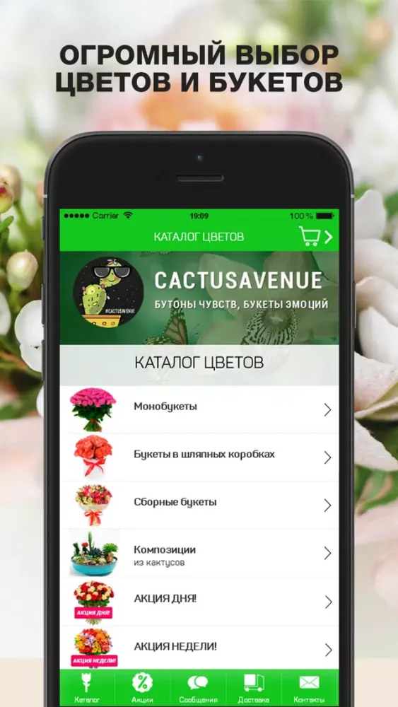 Ảnh chụp màn hình của Cactus Avenue