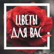 Цветы для Вас Цветы для Вас