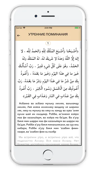 DailyZikr - Поминания Аллаха স্ক্রিনশট
