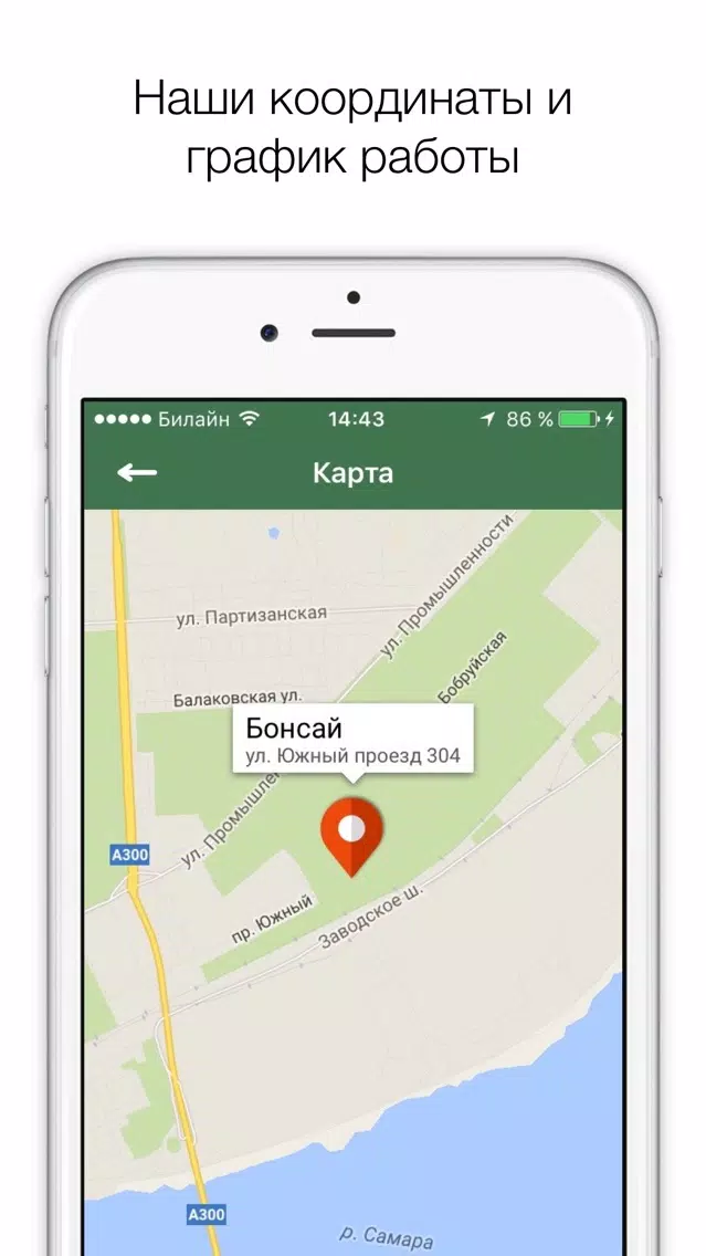 Capturas de pantalla de Bonsai Самара