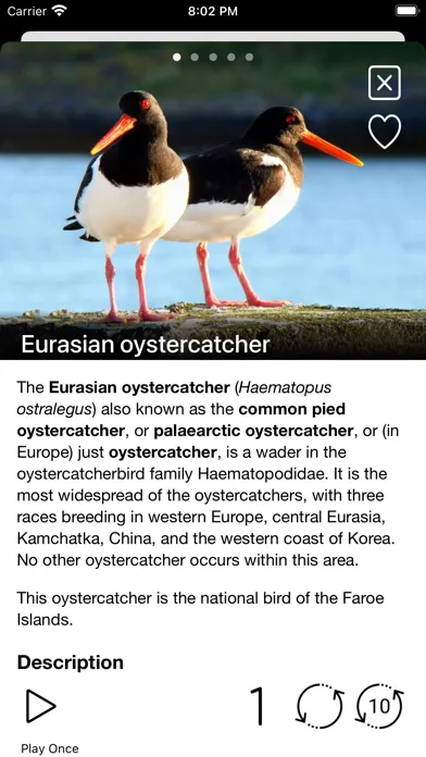 Capturas de pantalla de Birds of Europe - Field Guide