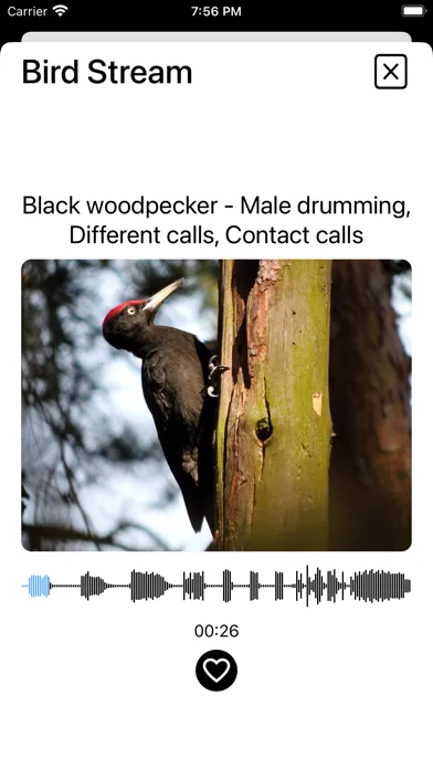 Capturas de pantalla de Birds of Europe - Field Guide