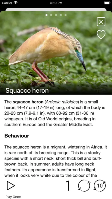 Capturas de pantalla de Birds of Europe - Field Guide