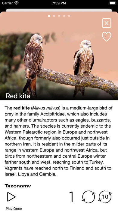 Capturas de pantalla de Birds of Europe - Field Guide