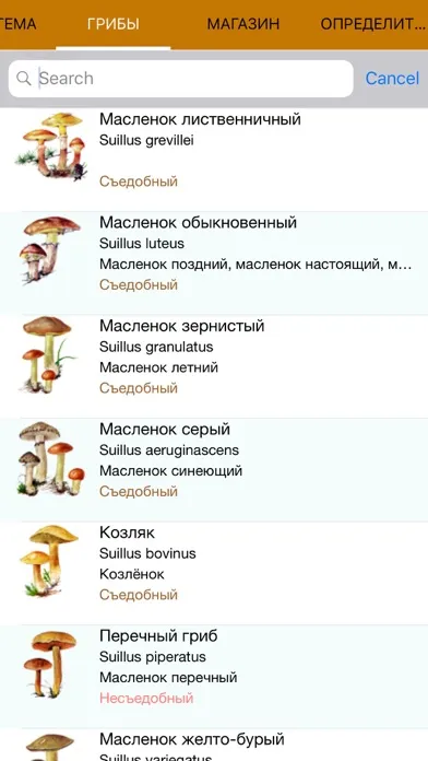 Экогид - Грибы и Определитель स्क्रीनशॉट