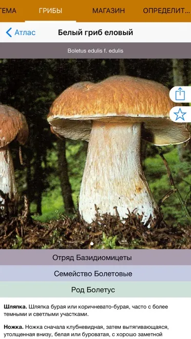 Экогид - Грибы и Определитель स्क्रीनशॉट