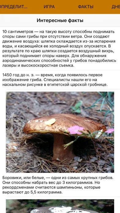 Экогид - Грибы и Определитель स्क्रीनशॉट