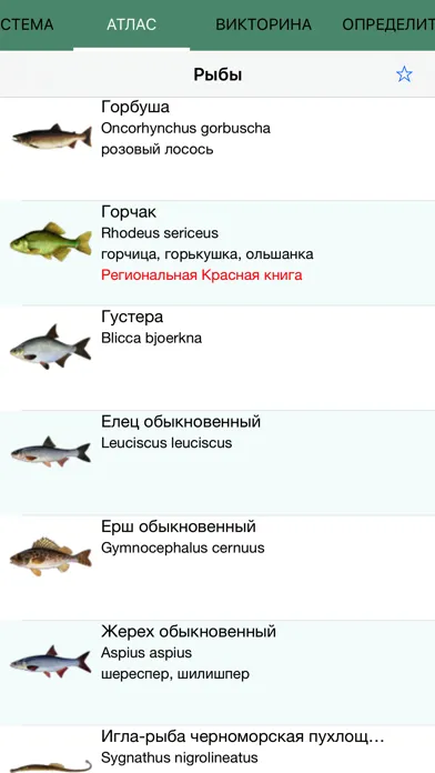 Экогид - Рыбы и Рыбалка应用截图