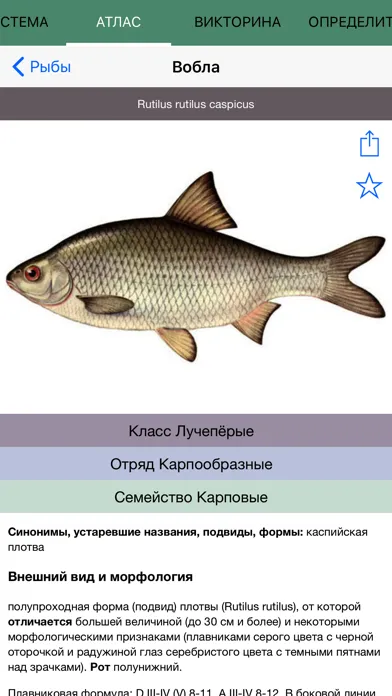 Экогид - Рыбы и Рыбалка应用截图