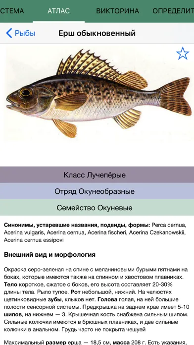 Экогид - Рыбы и Рыбалка应用截图