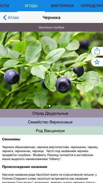 Экогид - Ягоды Screenshots