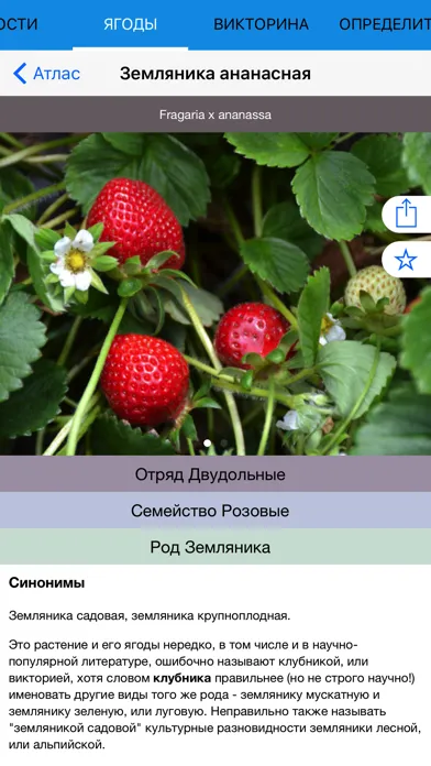 Экогид - Ягоды Screenshots