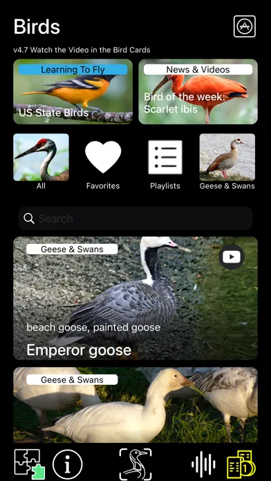 Birds of North America: Sounds应用截图