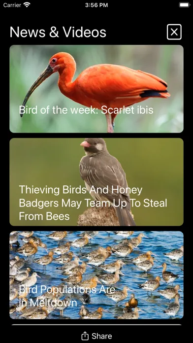 Birds of North America: Sounds应用截图