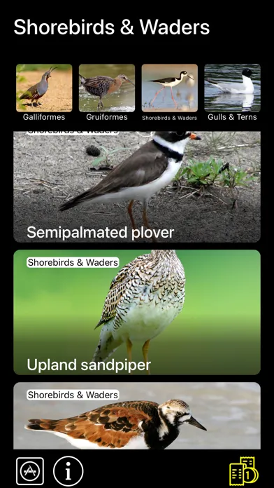Birds of North America: Sounds应用截图