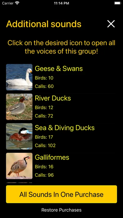 Birds of North America: Sounds应用截图