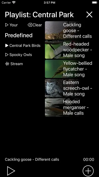 Birds of North America: Sounds应用截图