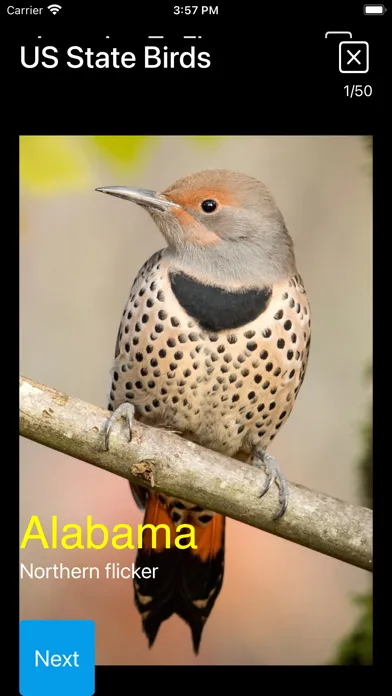 Birds of North America: Sounds应用截图