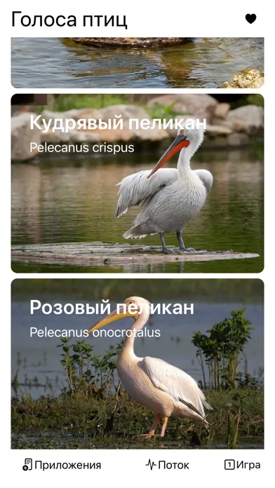 Экогид - Голоса птиц Screenshots