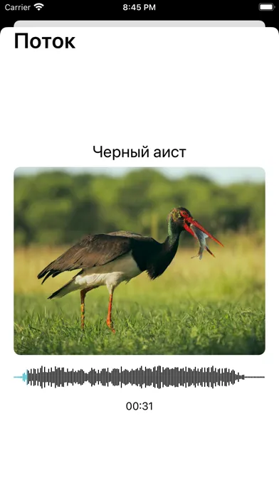 Экогид - Голоса птиц Screenshots
