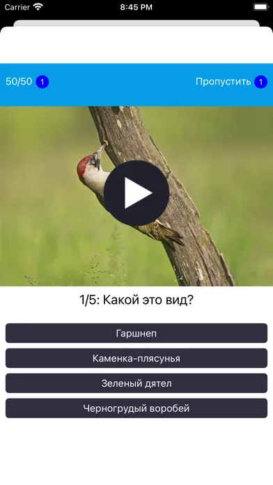 Экогид - Голоса птиц Screenshots