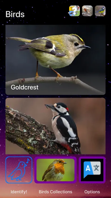 Скриншоты Bird Song/Photo Identification