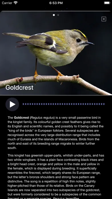 Скриншоты Bird Song/Photo Identification