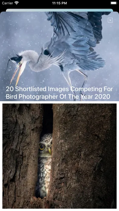 Скриншоты Bird Song/Photo Identification