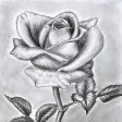 Caricature - the digital drawing app for people who love to draw. Free. Lite.