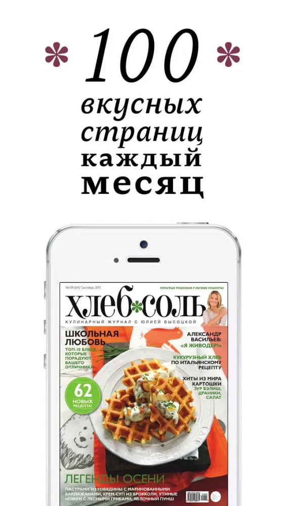 ХлебСоль – кулинарный журнал с Юлией Высоцкой. Простые рецепты, красивые фото. 스크린샷