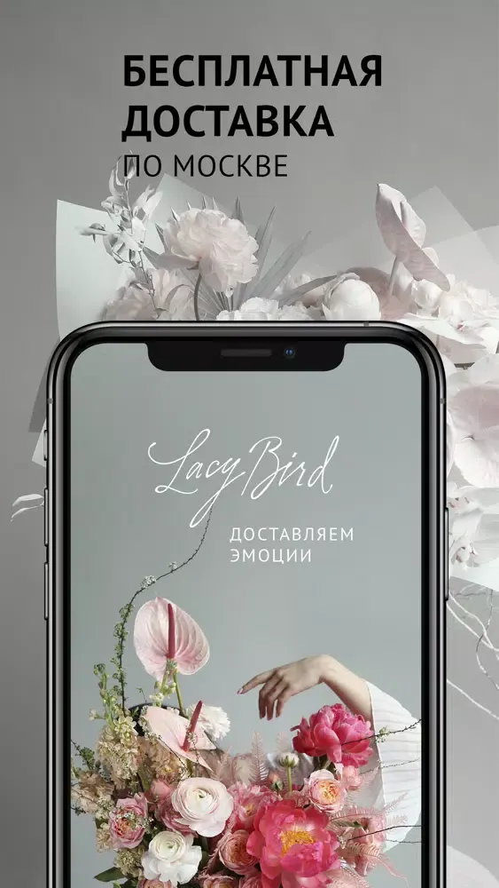 Captures d'écran de Lacy Bird