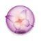 Клатч.online
