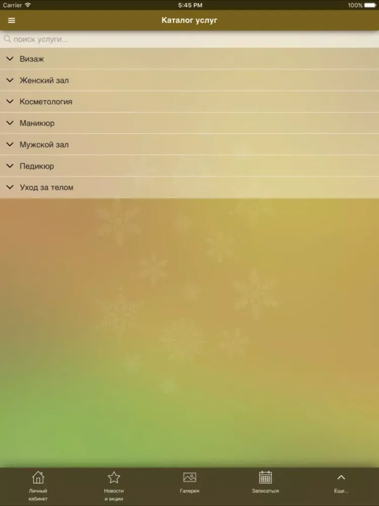 Ảnh chụp màn hình của Гилси iPad 