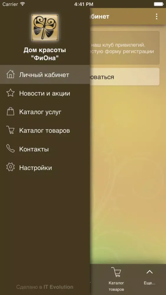 Скриншоты Дом красоты "ФиОна"