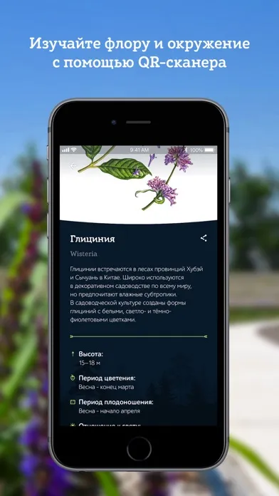 Скриншоты Стадион и парк Краснодар