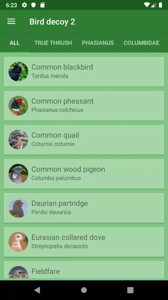 Decoy on the field bird Screenshots