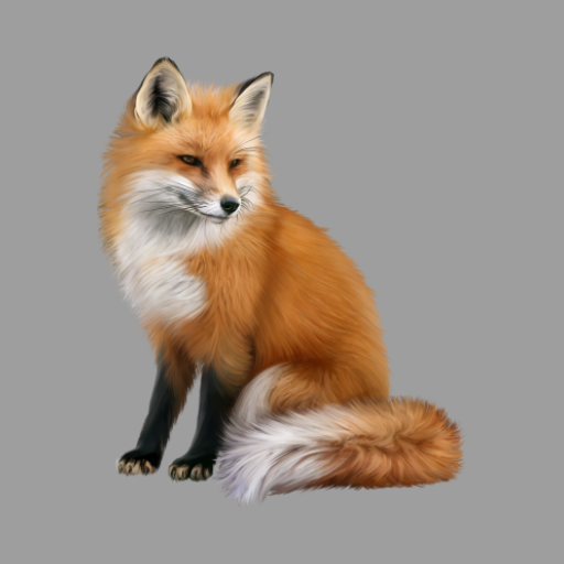 Decoy on fur animals Decoy on fur animals