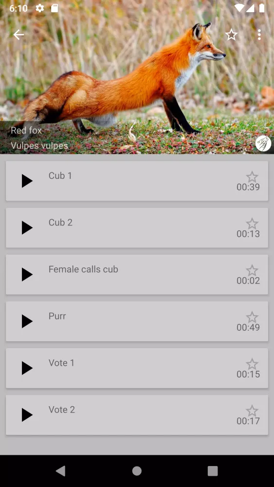 Decoy on fur animals Screenshots