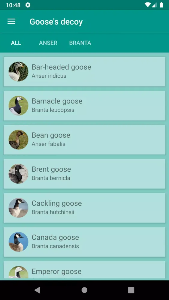 Screenshot di Progressive Goose Decoy