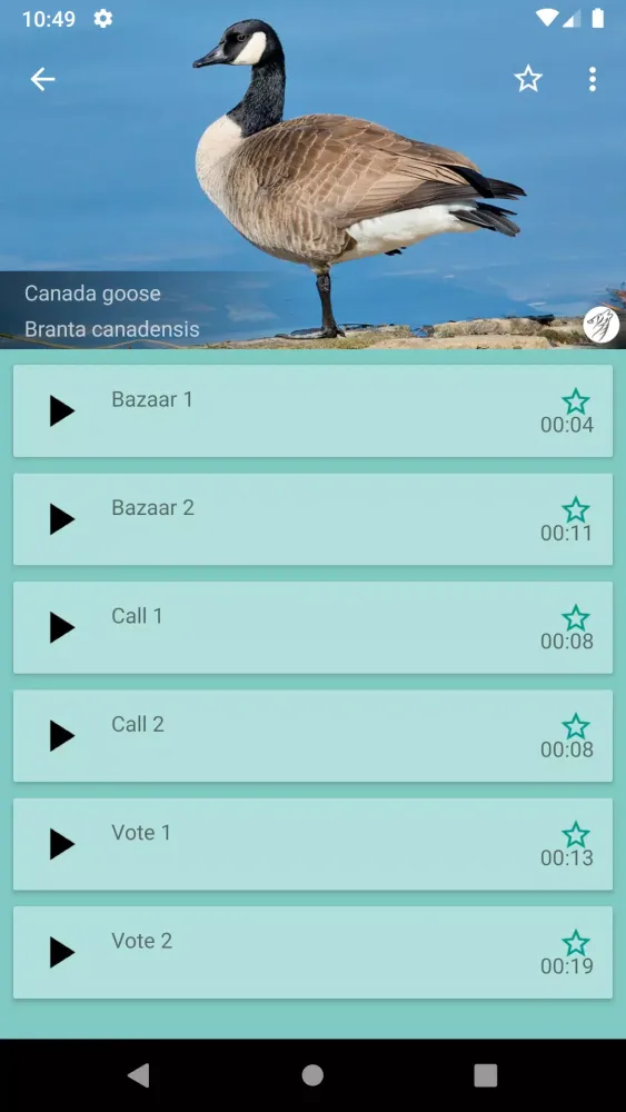 Screenshot di Progressive Goose Decoy
