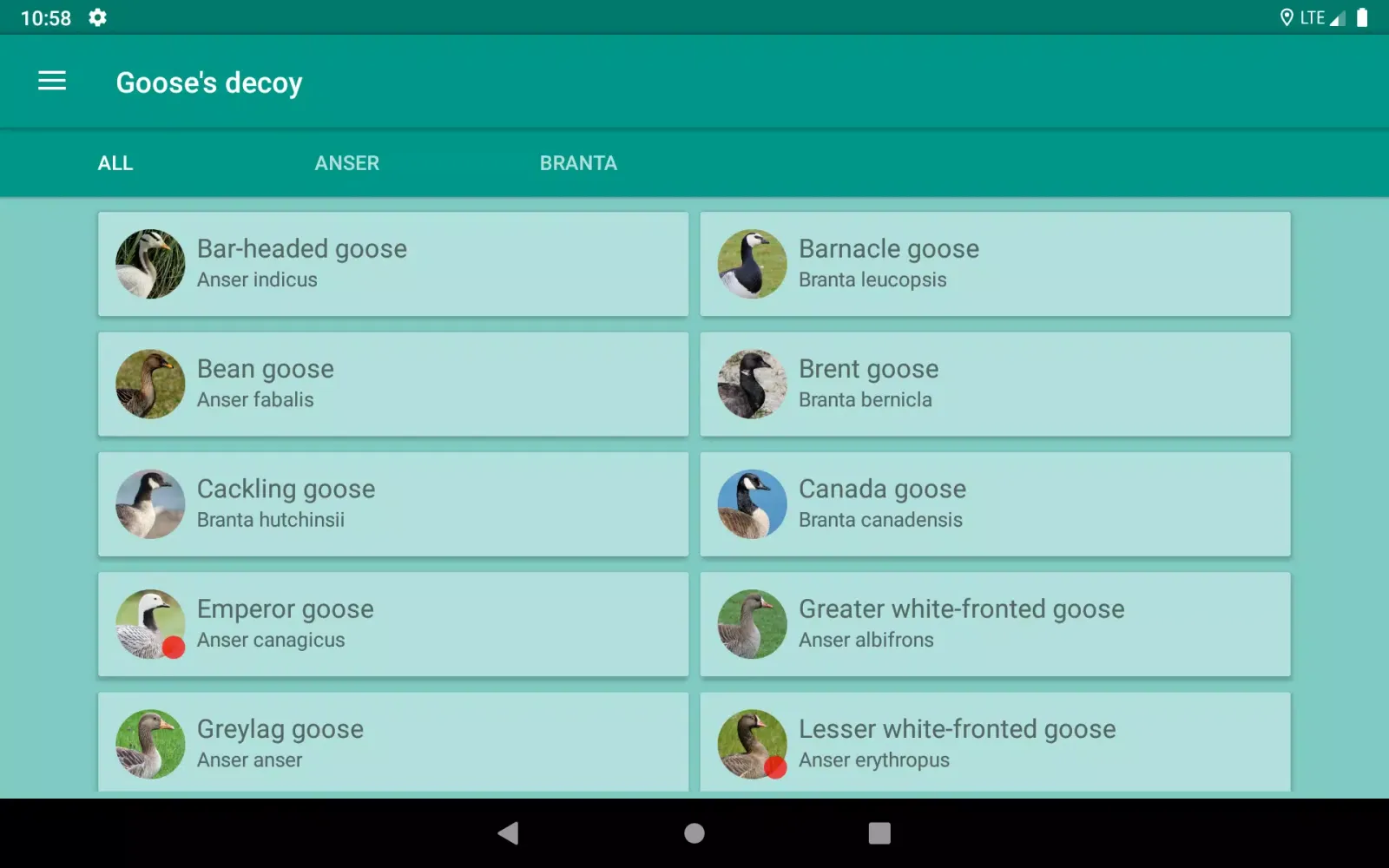 Screenshot di Progressive Goose Decoy