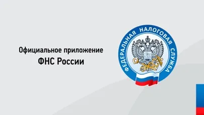 Налоги ФЛ স্ক্রিনশট