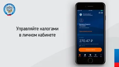 Налоги ФЛ স্ক্রিনশট