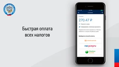 Налоги ФЛ স্ক্রিনশট