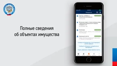 Налоги ФЛ স্ক্রিনশট