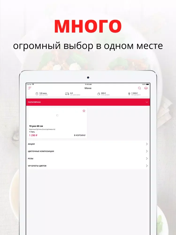 صور Амстердам | Владимир iPad 