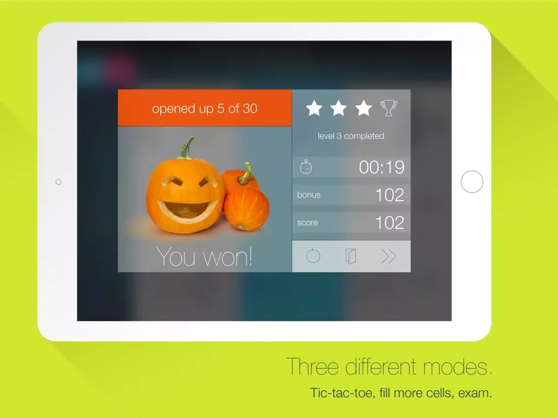 Tangkapan layar Ticwow 2 - Learn German Grammar iPad 