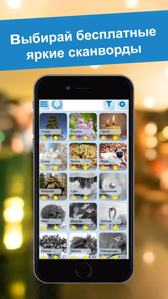 Crossword puzzles - My Zaika Screenshots